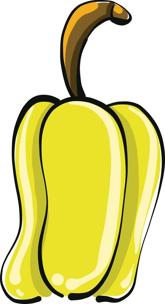 Bell pepper, illustration, vector on white background.