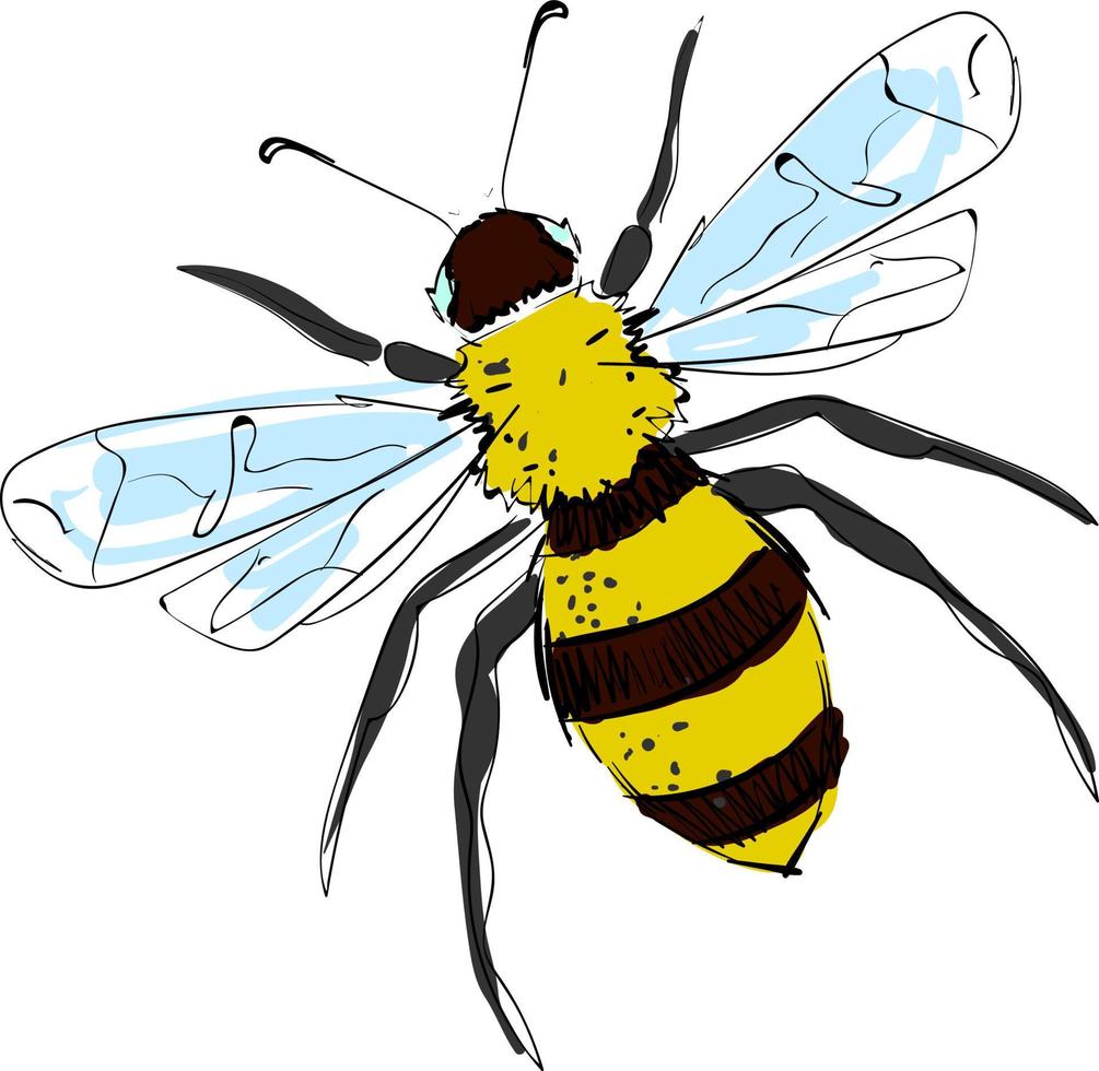 Nice drawing of bee, illustration, vector on white background.