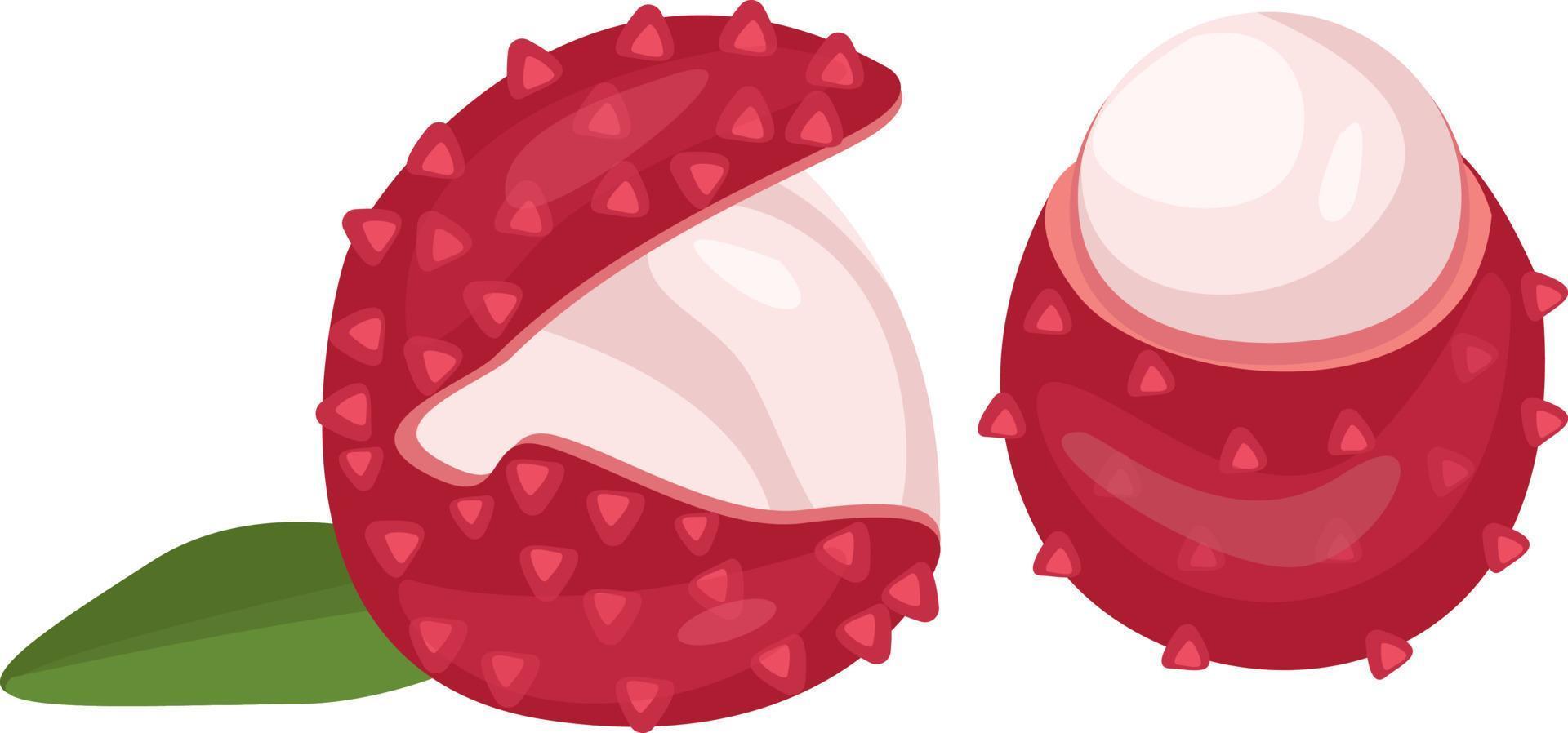 Red litchi, illustration, vector on white background