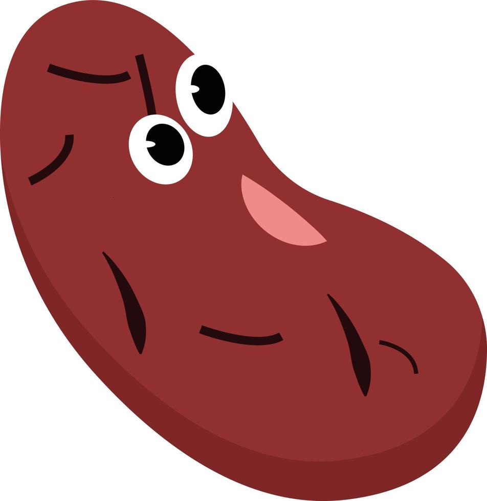 Red bean, illustration, vector on white background.