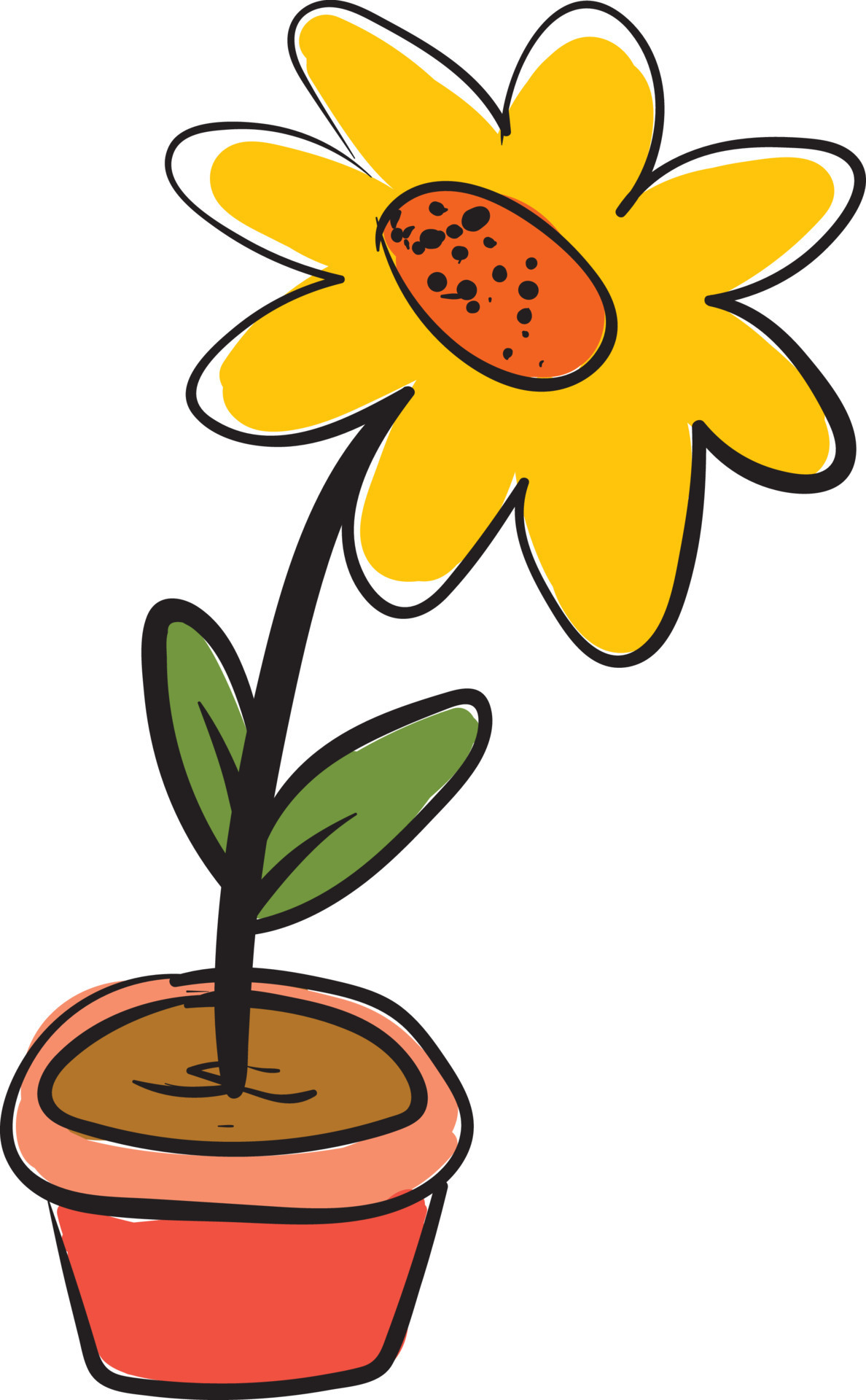 Marigold in pot, illustration, vector on white background. 13820946 ...