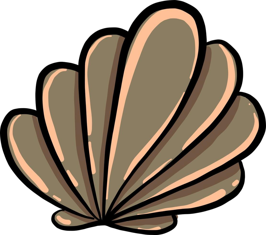 Beautiful shell, illustration, vector on white background