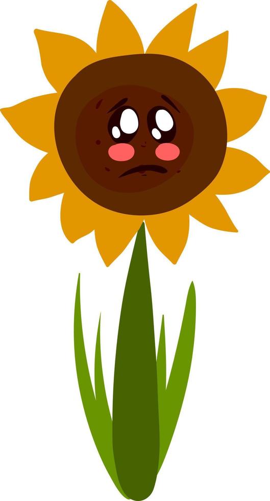 Girasol triste, ilustración, vector sobre fondo blanco.