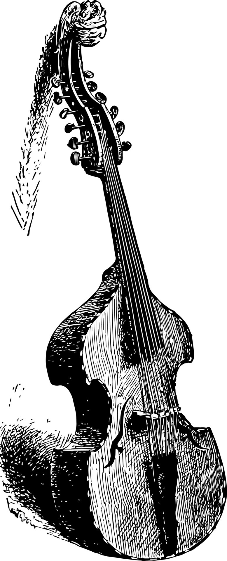 Viola D Amore, vintage illustration. 13821382 Vector Art at Vecteezy