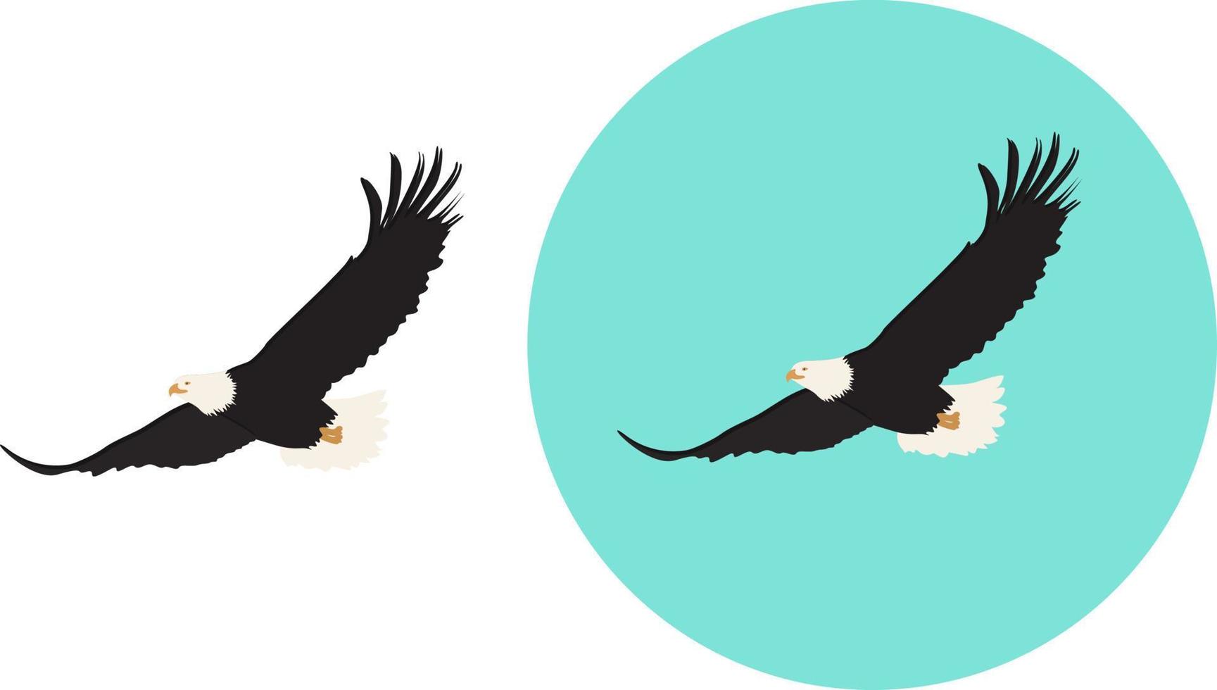 Flying eagle ,illustration, vector on white background.