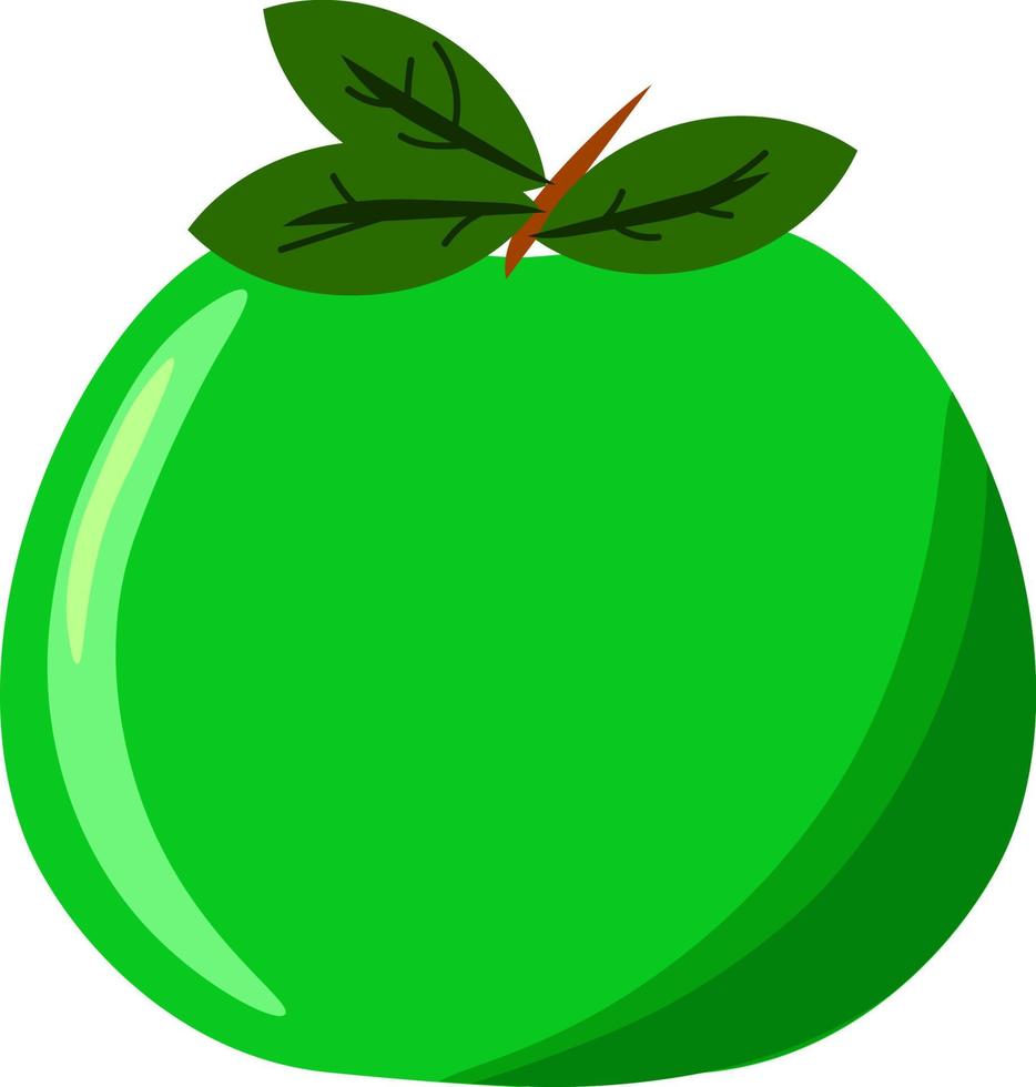 Green apple, illustration, vector on white background.