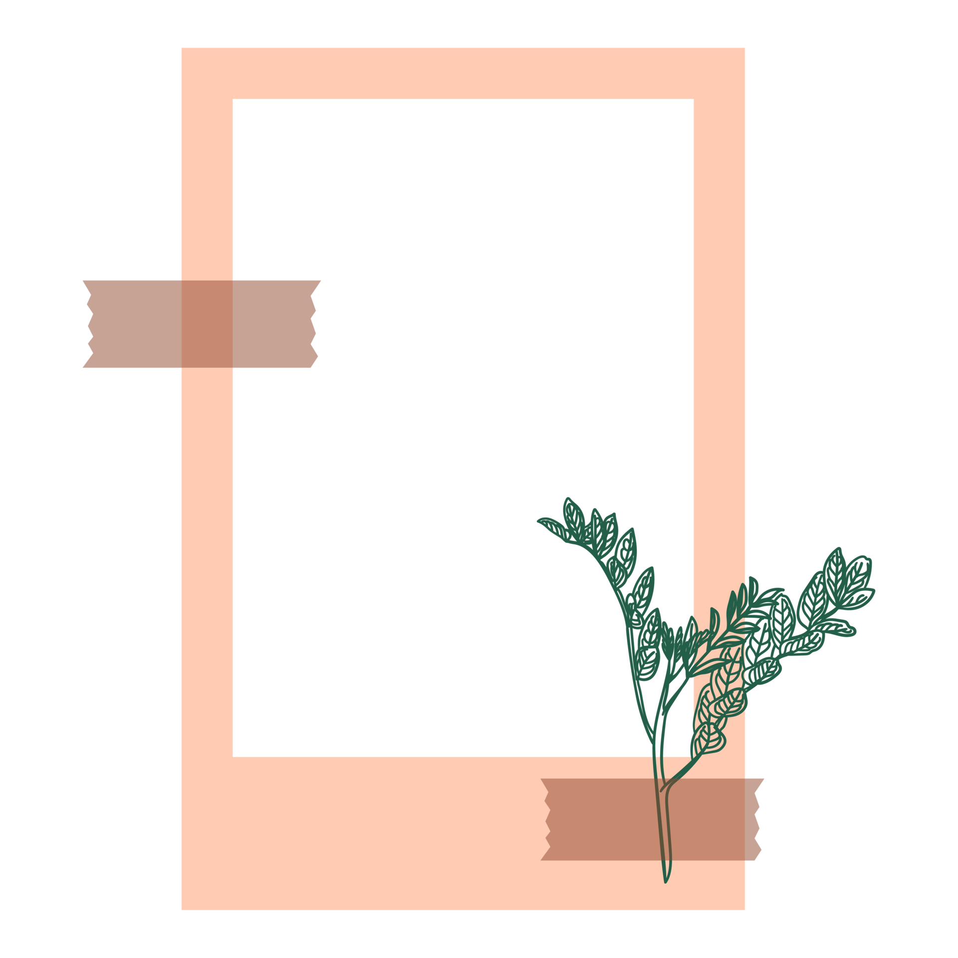 Aesthetic Frames Infoupdate aesthetic-frames-infoupdate