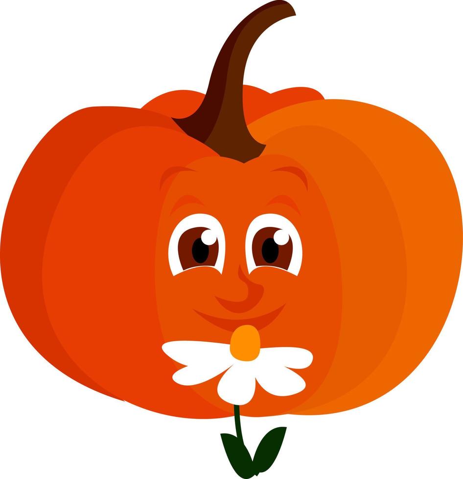 Calabaza con flor, ilustración, vector sobre fondo blanco.