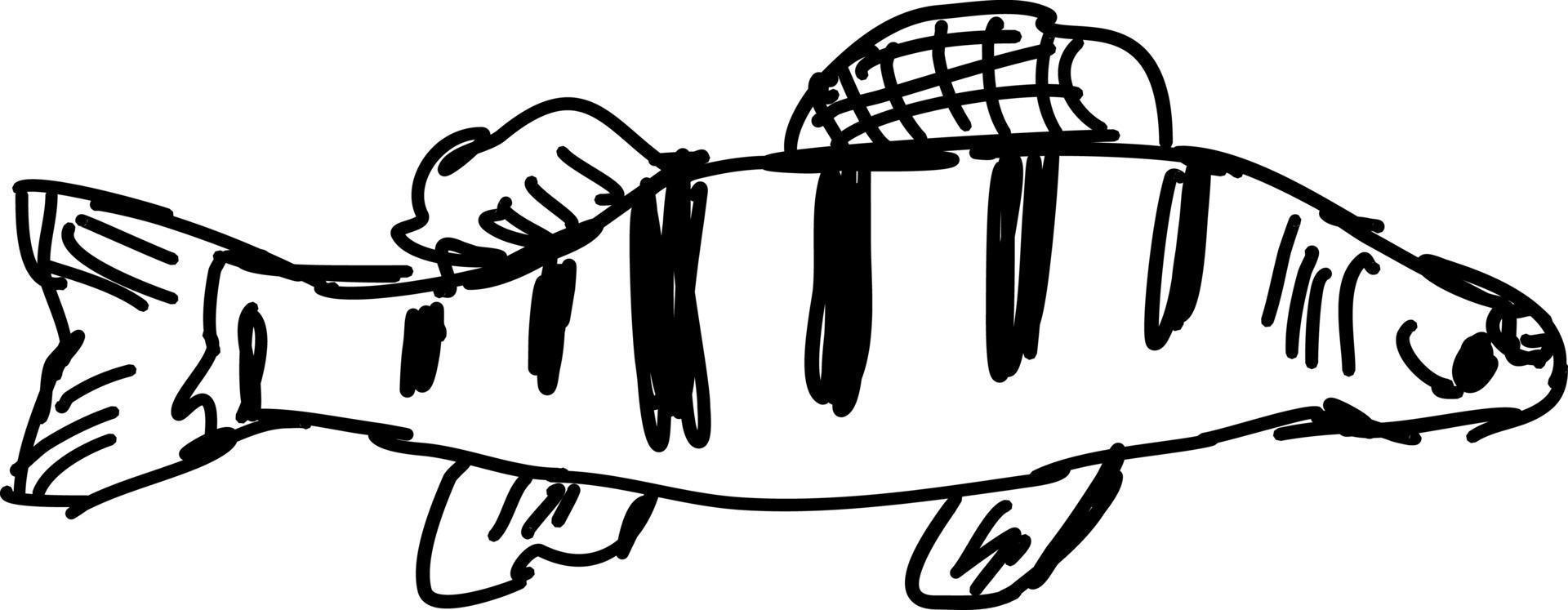 Fish drawing, illustration, vector on white background.
