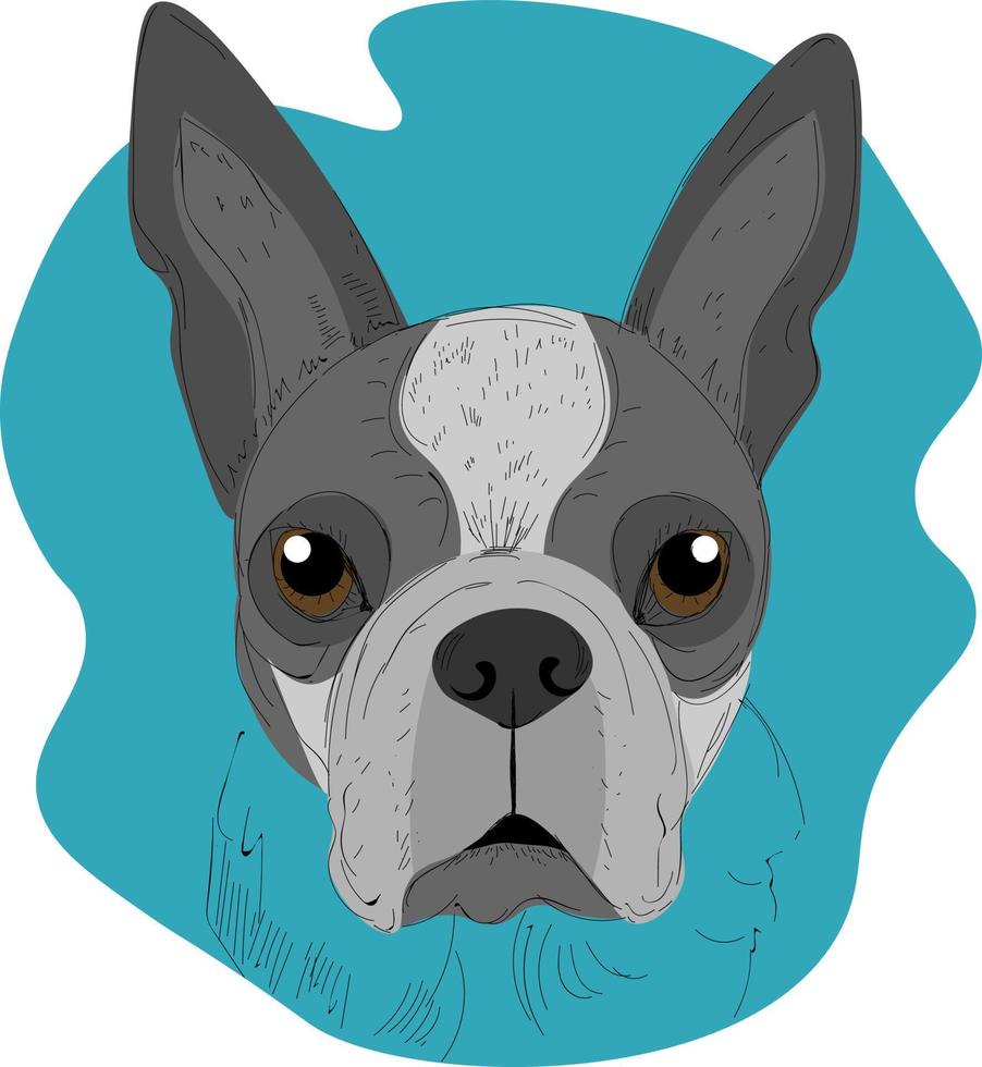 retrato de perro, ilustración, vector sobre fondo blanco