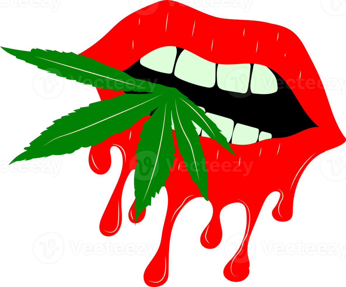 Vampirmund mit einem Cannabisblatt. auf Hintergrund ClipArt isoliert png