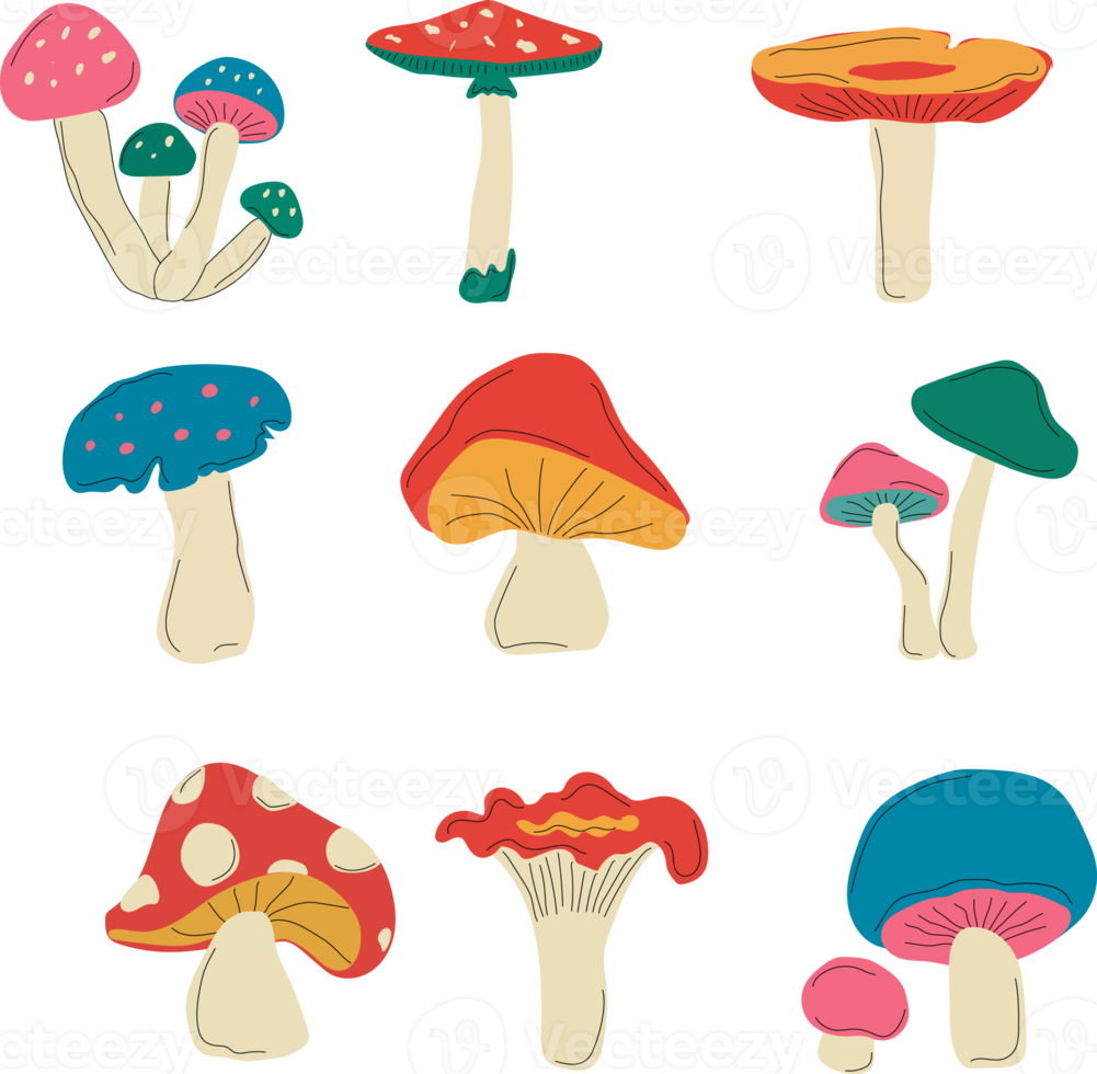 velenoso e commestibile fungo cartone animato, contorno icone nel impostato collezione per design. diverso tipi di funghi simbolo azione ragnatela illustrazione. png