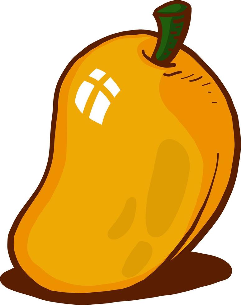 mango maduro, ilustración, vector sobre fondo blanco