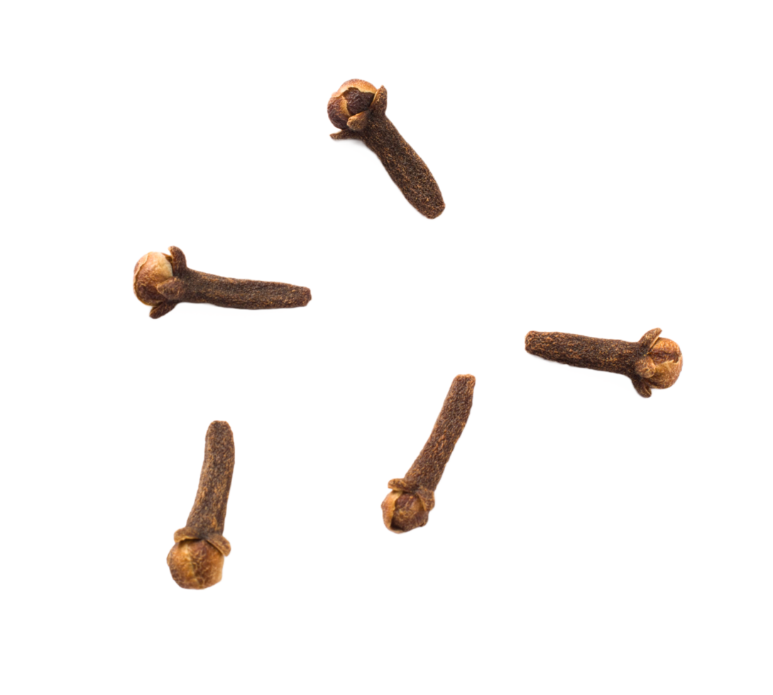Clove PNG Free