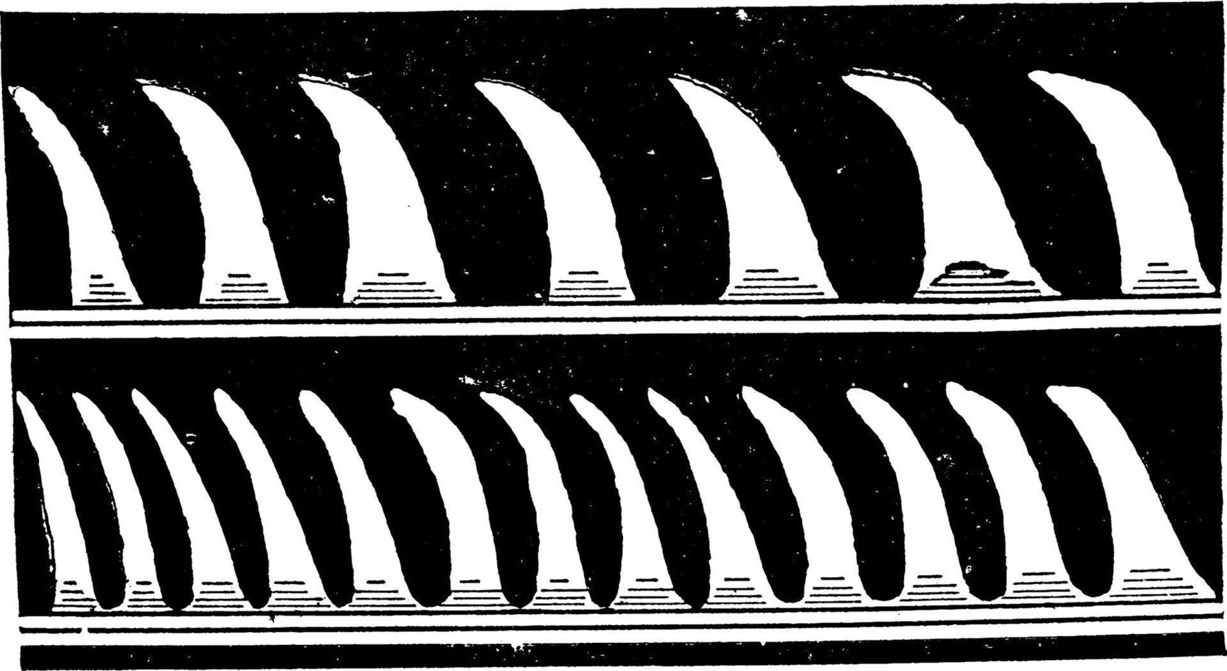 ondas de sonido, ilustración vintage. vector