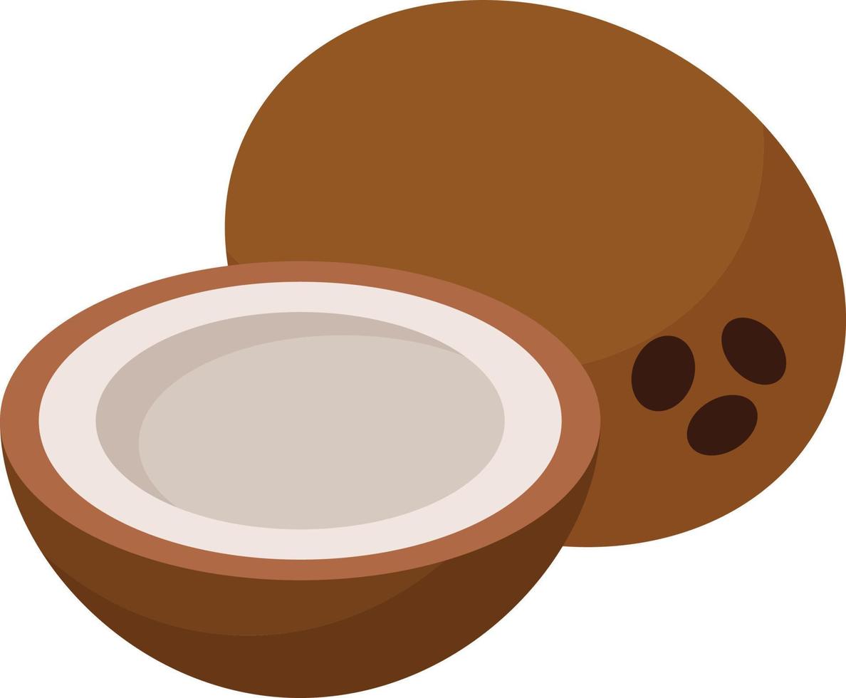 Coconut in half, illustration, vector on white background