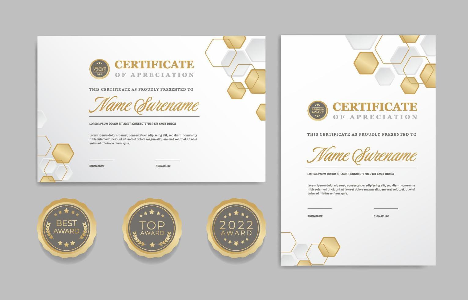 plantillas de certificado profesional vector