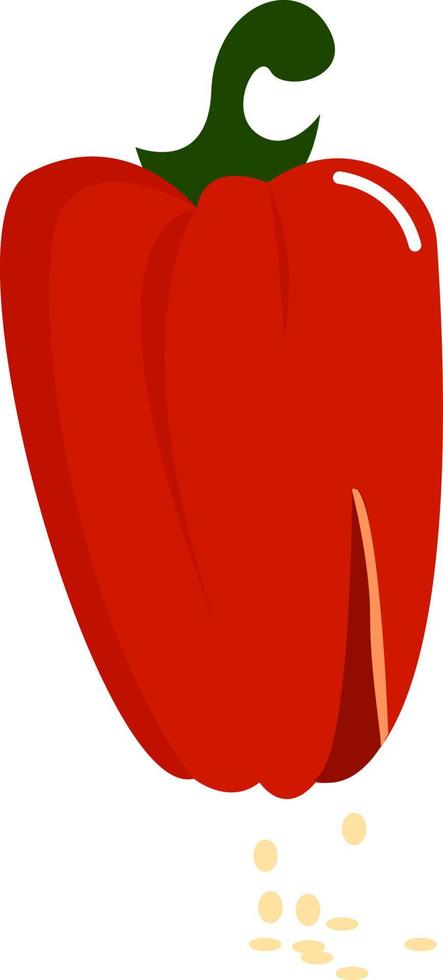 Red pepper, illustration, vector on white background.