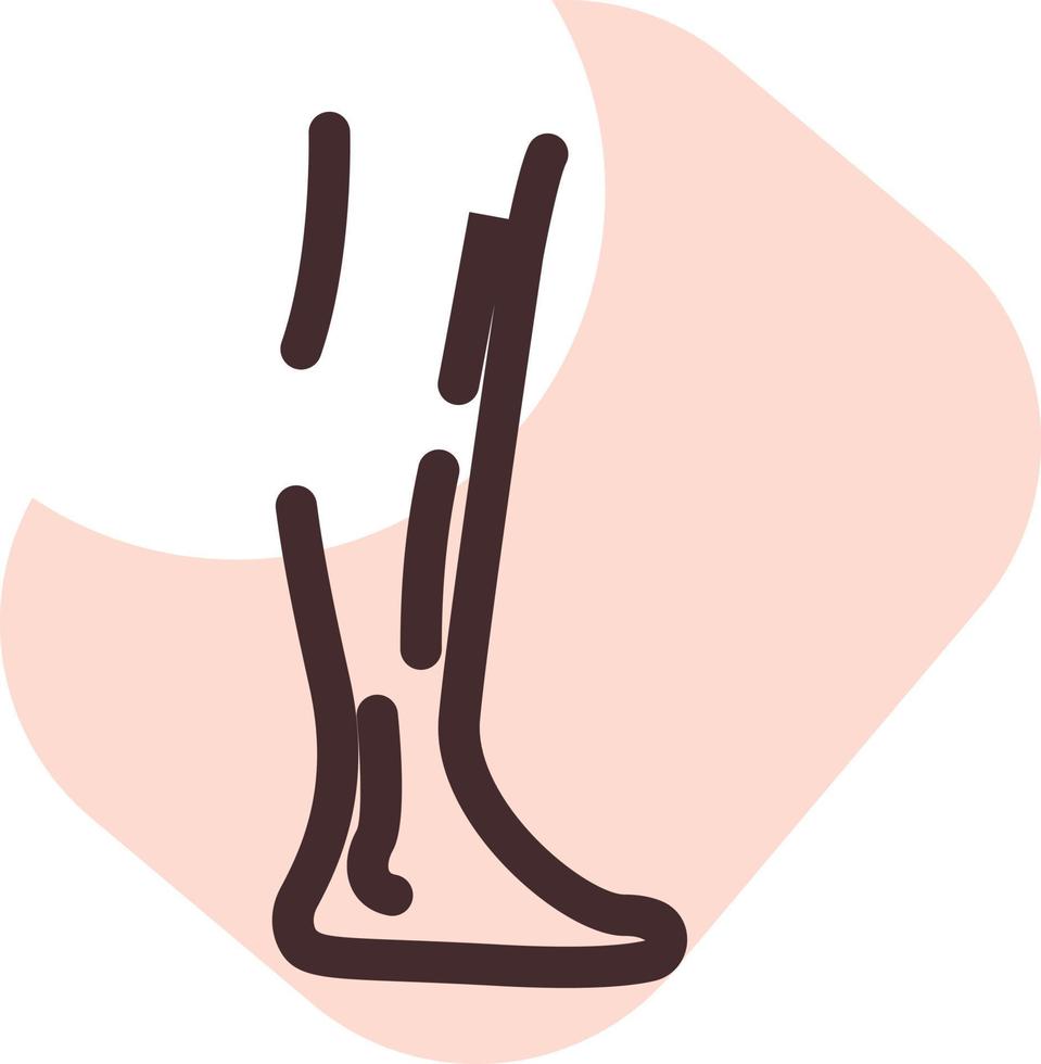 Human shin, illustration, vector on a white background.