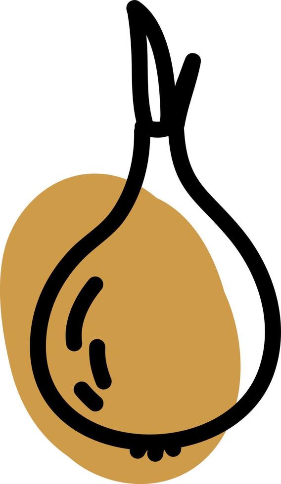 cebolla dorada, ilustración, vector sobre fondo blanco