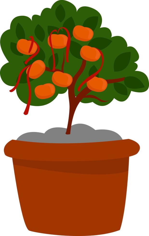 Tangerine tree , illustration, vector on white background