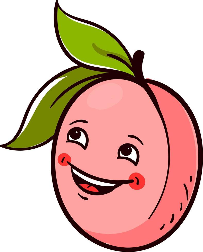 Apricot laughing, illustration, vector on a white background.