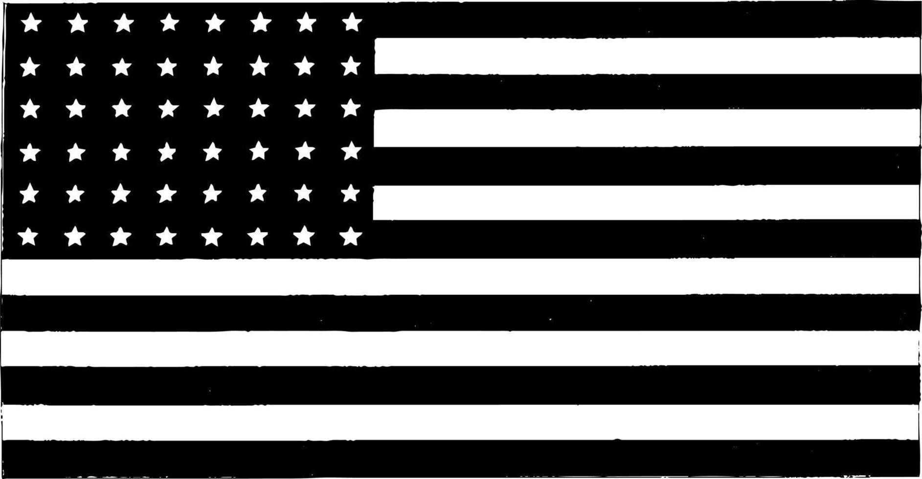 United States, 1923, 48-star flag, vintage illustration vector