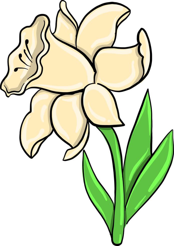 flor blanca, ilustración, vector sobre fondo blanco