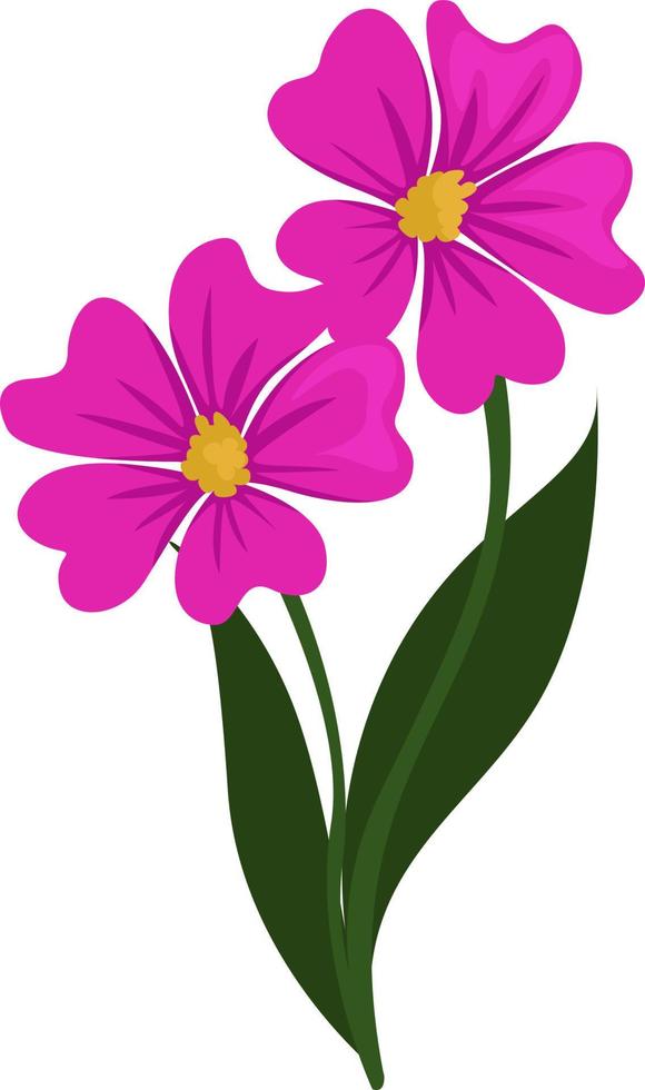 Two pink flowers, illustration, vector on white background.