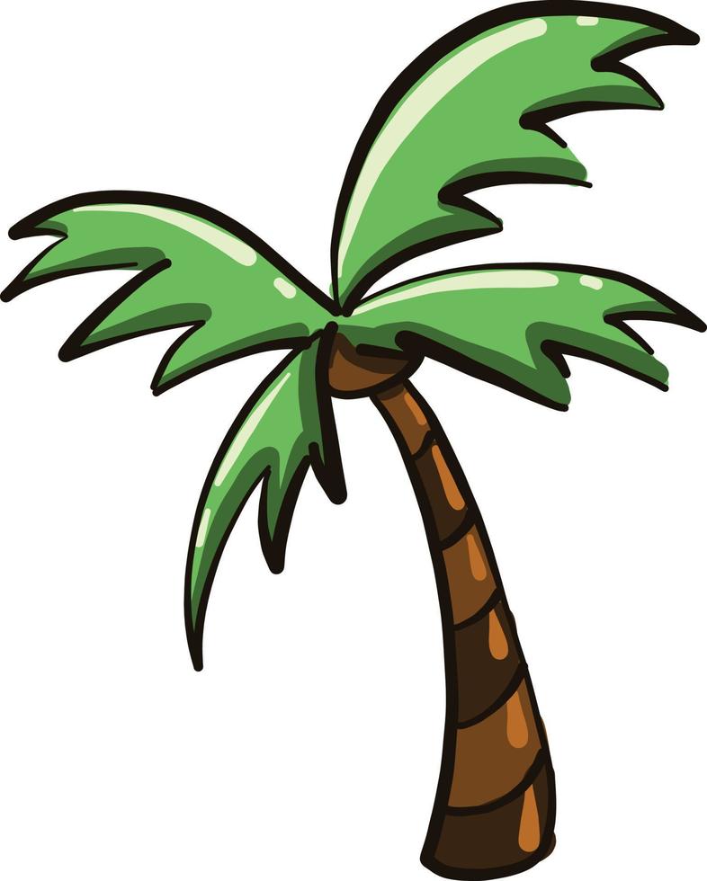 Tropic palm tree, illustration, vector on a white background.