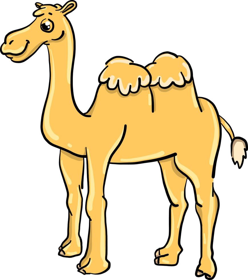 Camel with two hump , illustration, vector on white background