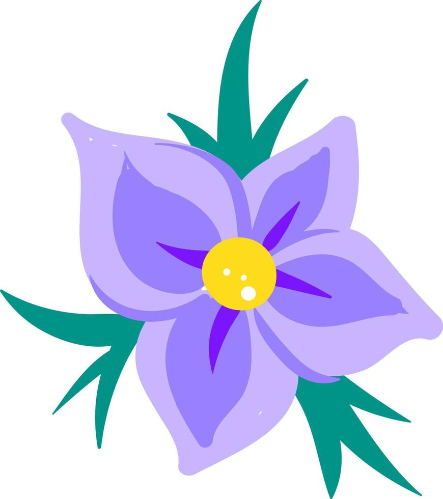 Flat jasmine, illustration, vector on white background.