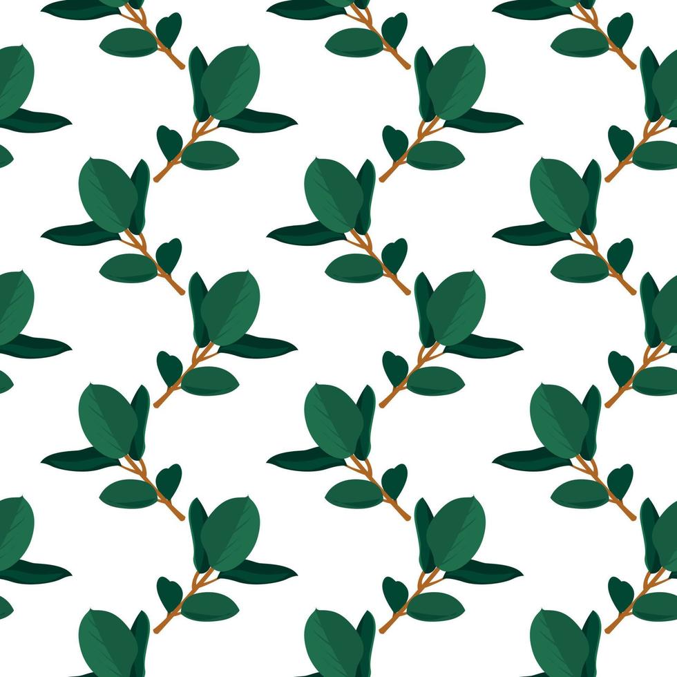 Green ficus ,seamless pattern on white background. vector