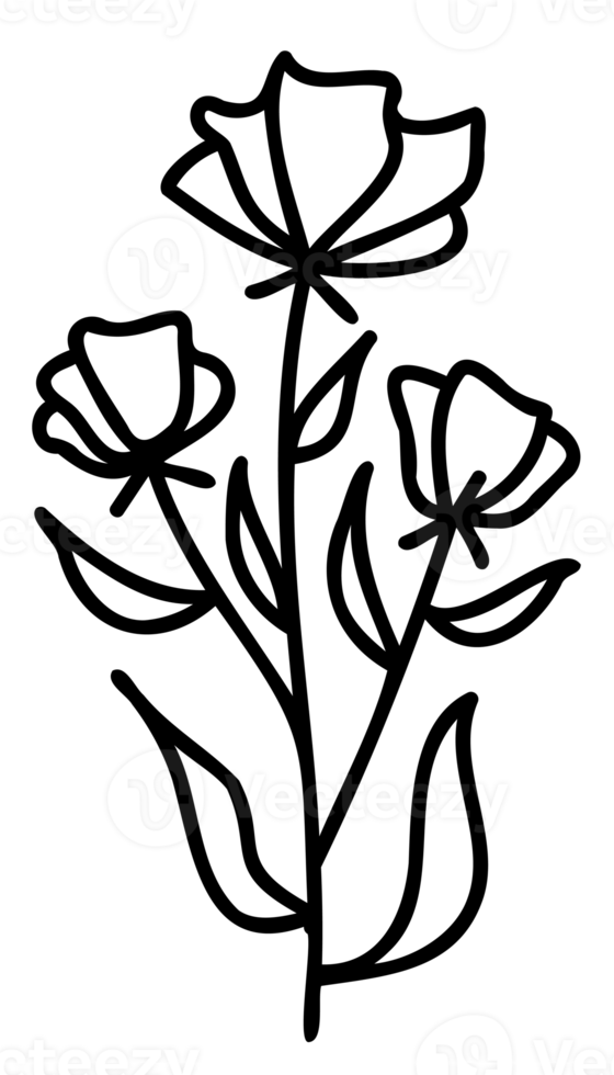 Strichzeichnungen Blumen gesetzt. sammlung von schwarzen und weißen dünnen linearen blumen. dekorative illustrationen, konturblumenset. png mit transparentem Hintergrund.