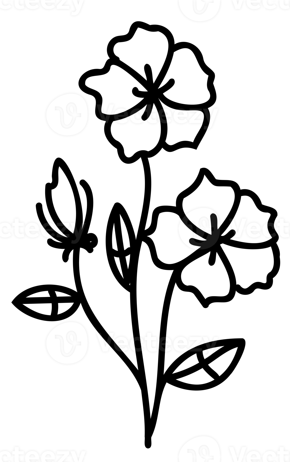 Line art flowers set. Collection of black and white thin linear flowers