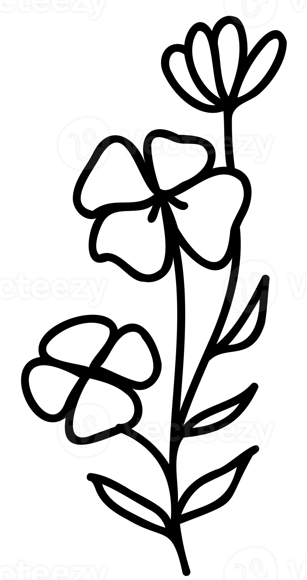 Line art flowers set. Collection of black and white thin linear flowers