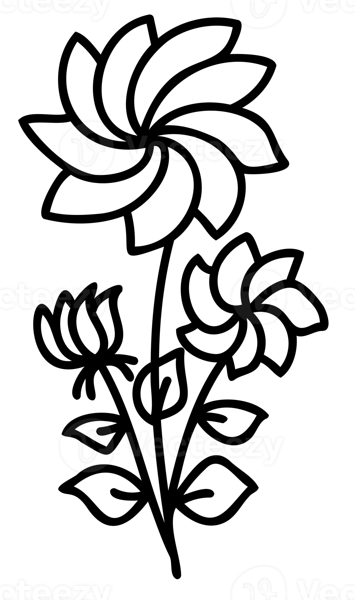 Line art flowers set. Collection of black and white thin linear flowers