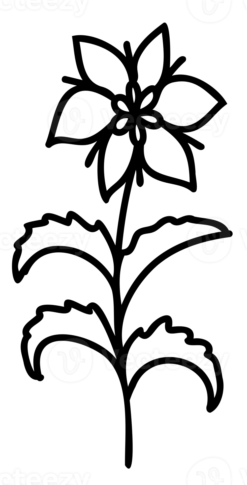 Line art flowers set. Collection of black and white thin linear flowers