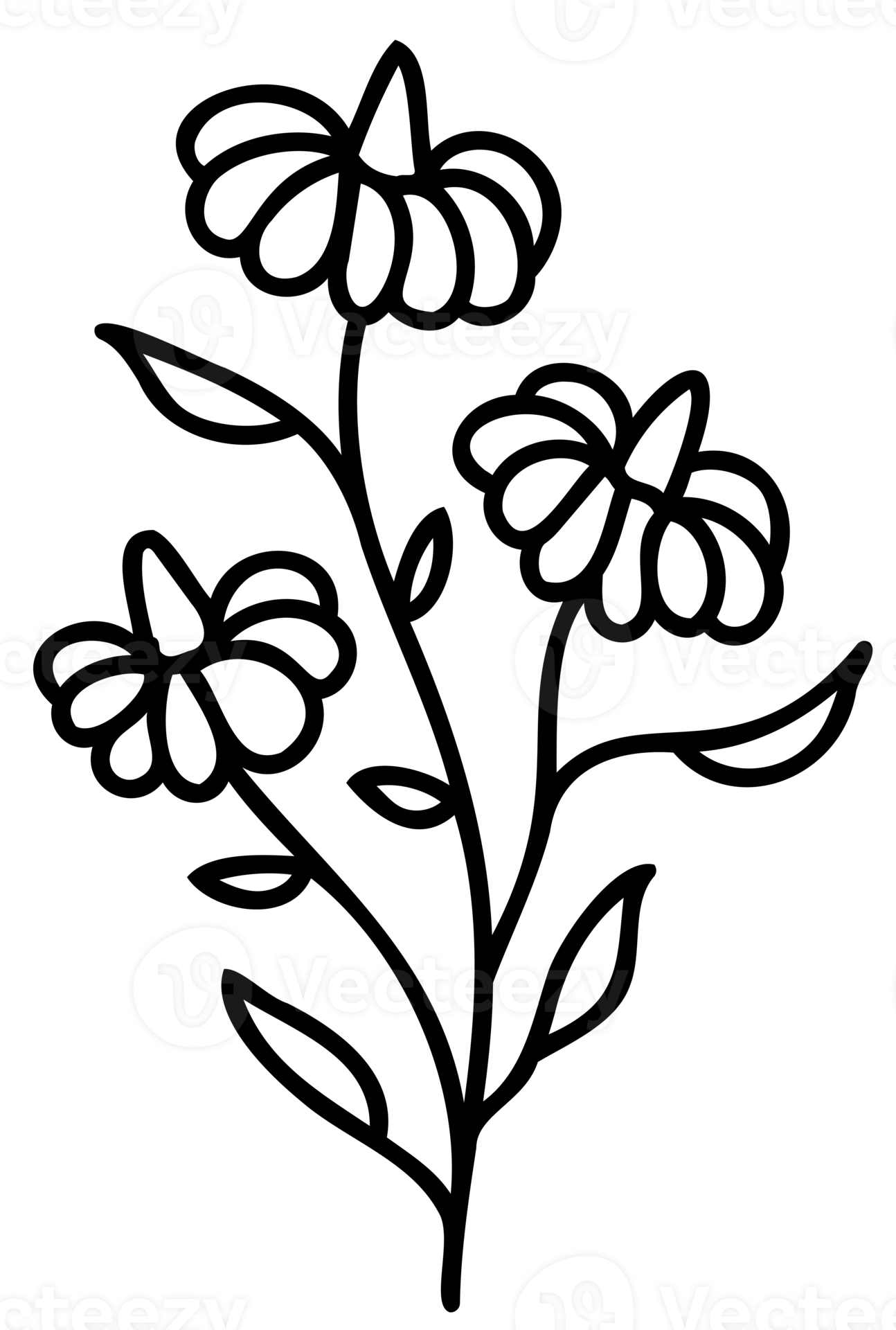 Line art flowers set. Collection of black and white thin linear flowers. Decorative