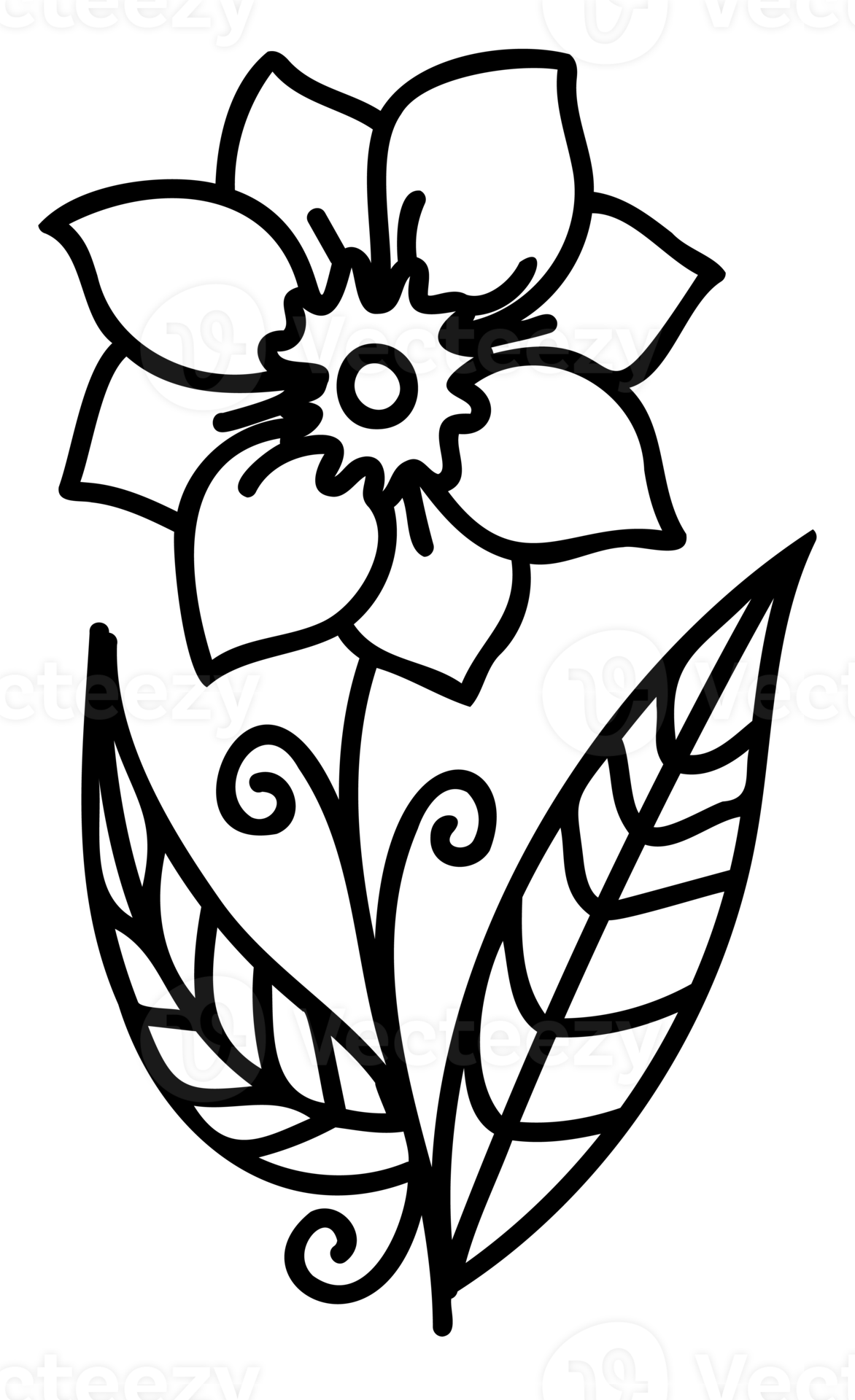 Free Line art flowers set. Collection of black and white thin linear