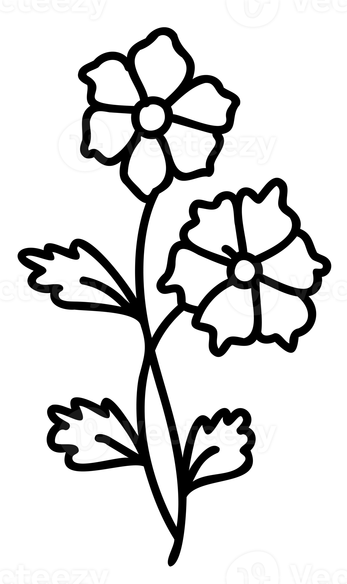 Line art flowers set. Collection of black and white thin linear flowers