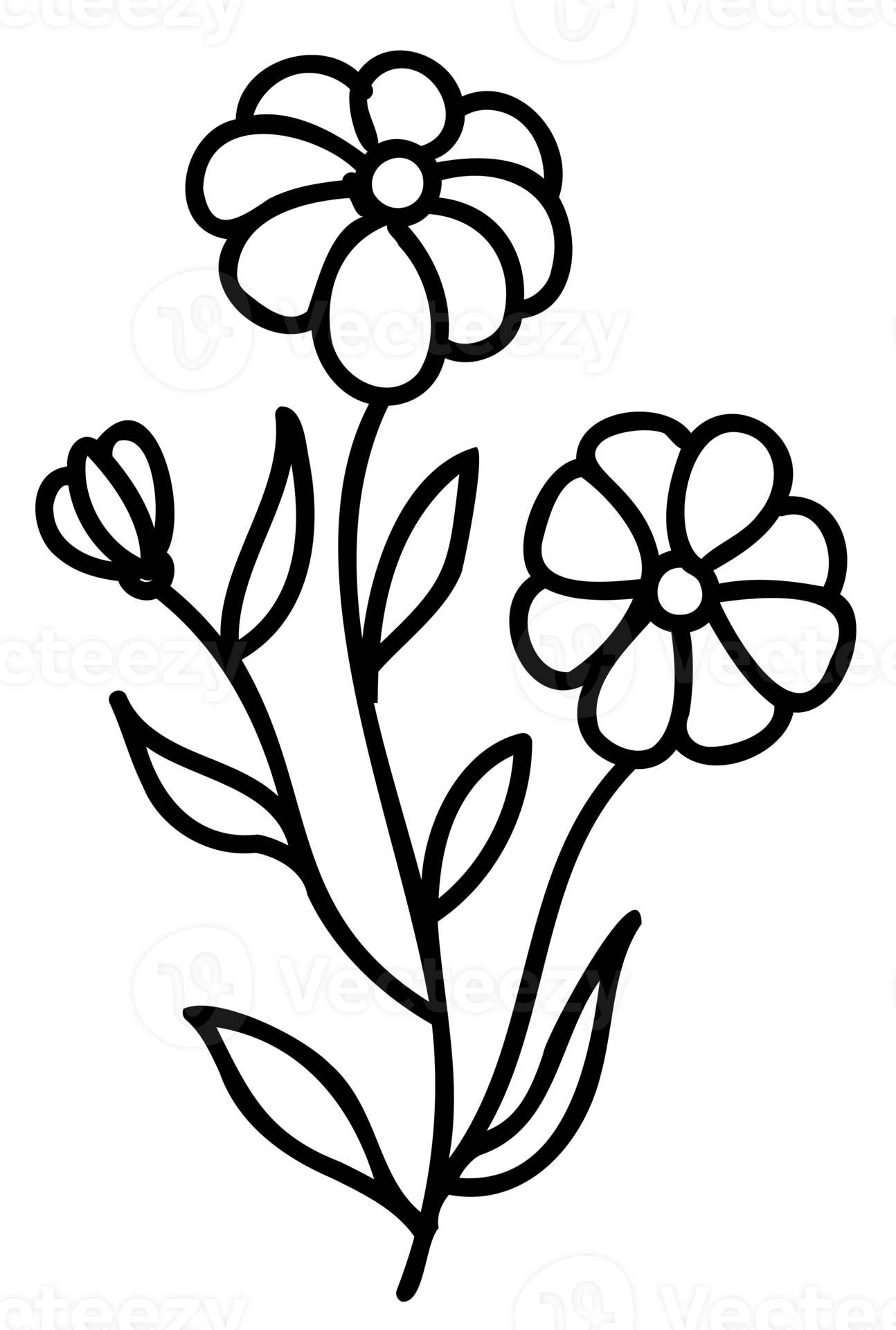 Line art flowers set. Collection of black and white thin linear flowers