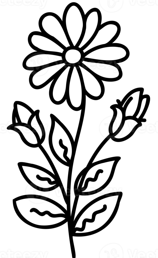 Line art flowers set. Collection of black and white thin linear flowers