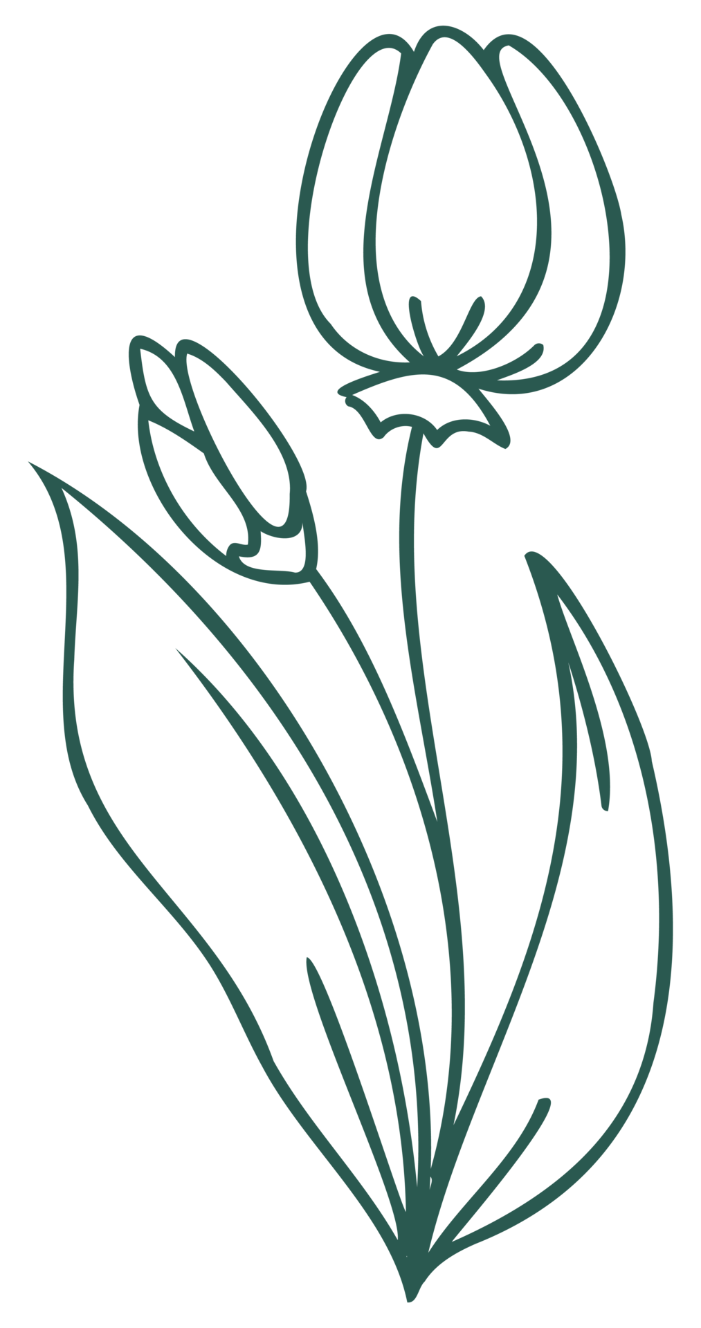 floral-line-art-linear-botanical-design-element-flower-drawings-with