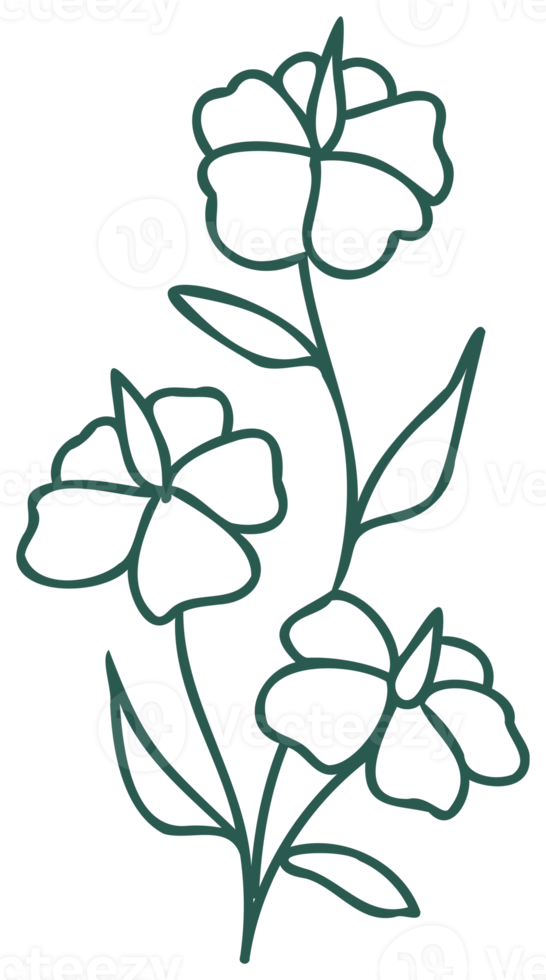 Floral line art linear botanical design element. Flower drawings with thin line. Collection of blooming hand drown flower, contour drawing. PNG with transparent background.