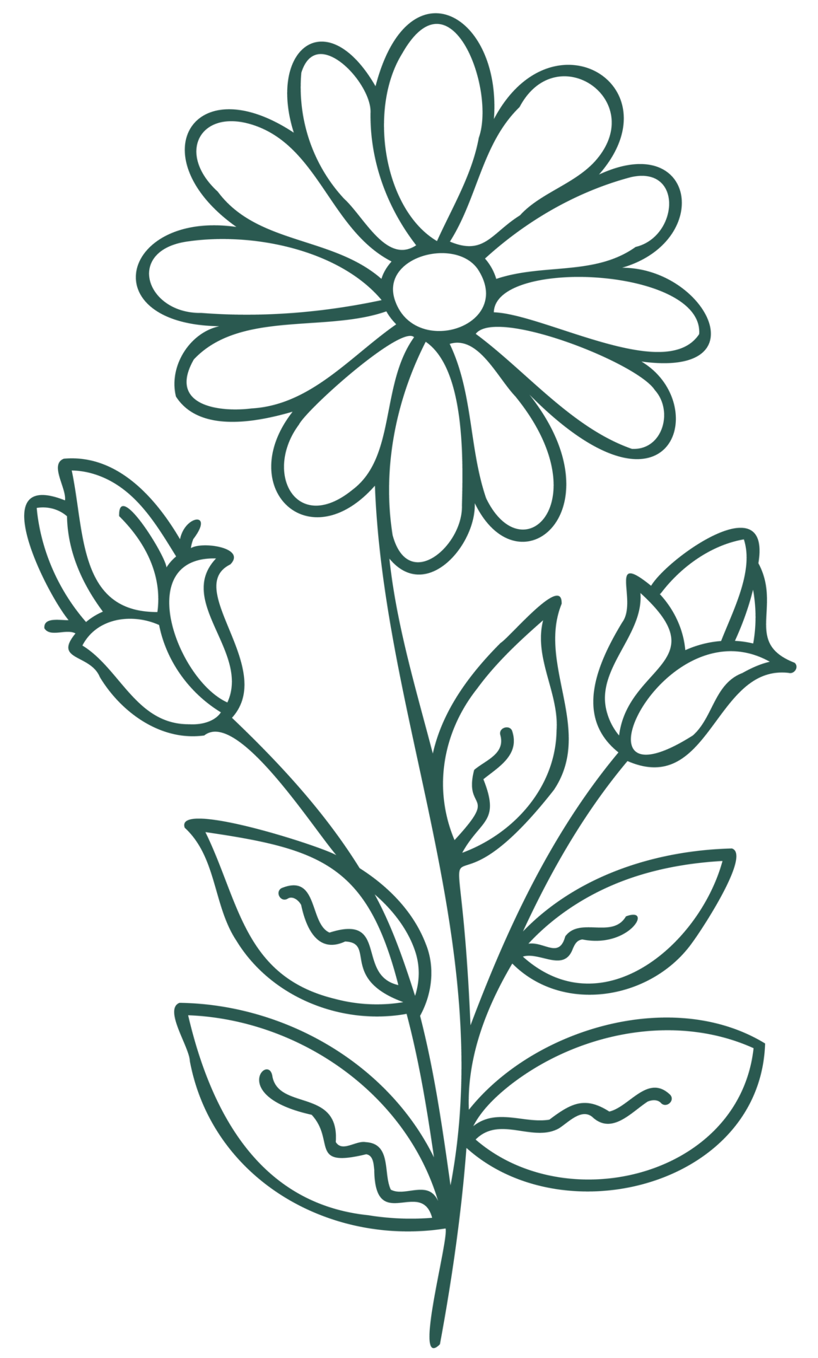 Floral line art linear botanical design element. Flower drawings with