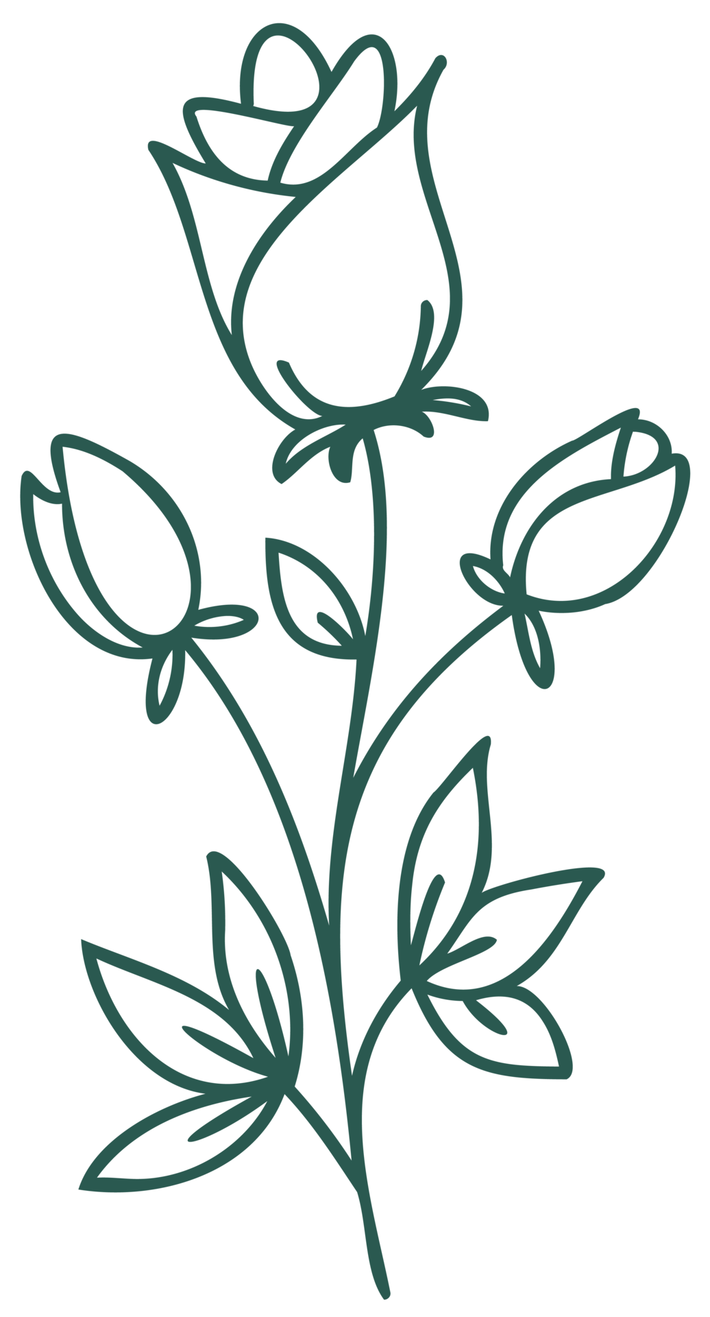 elemento de diseño botánico lineal de arte de línea floral. dibujos de