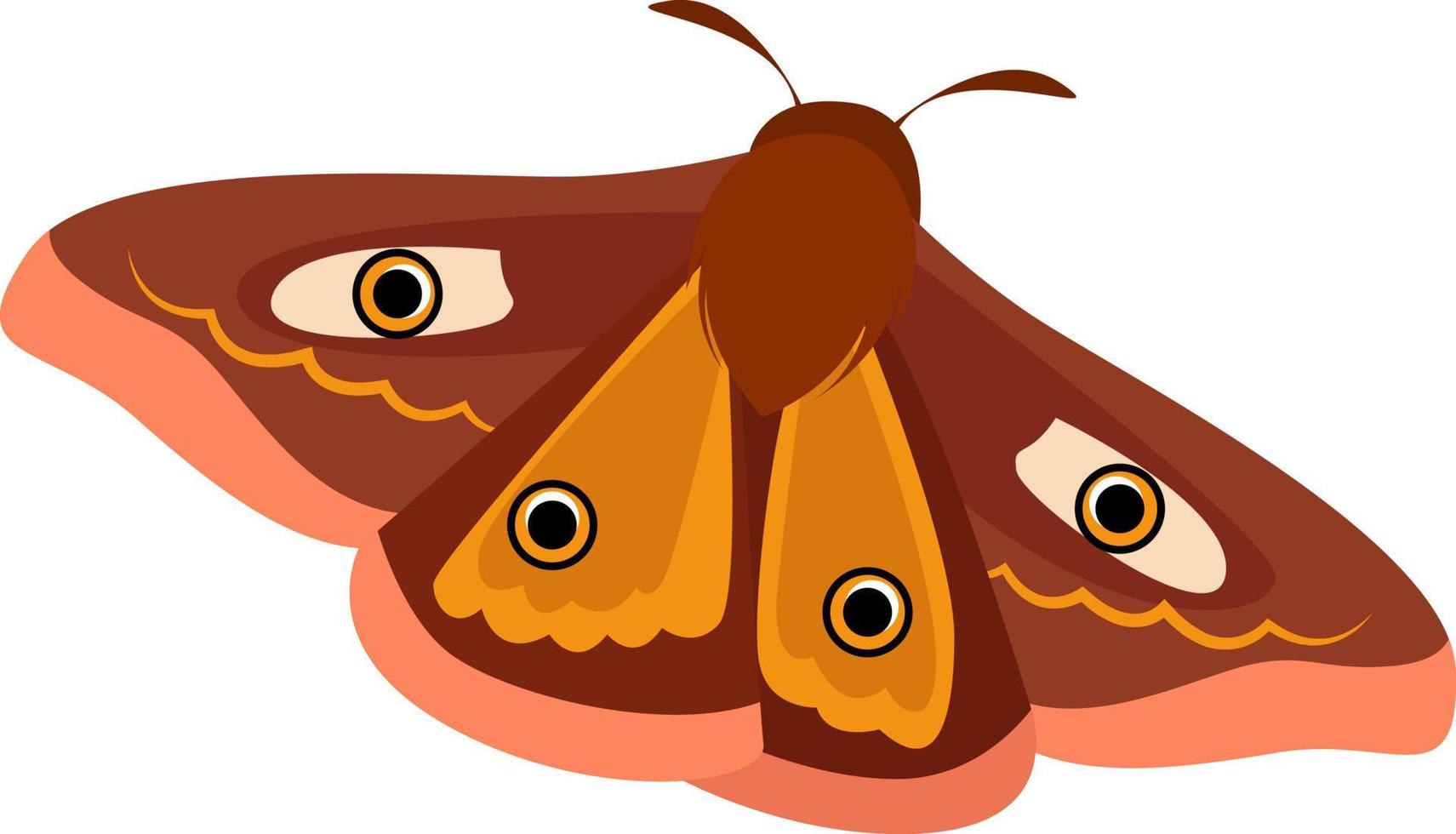 mariposa marrón, ilustración, vector sobre fondo blanco