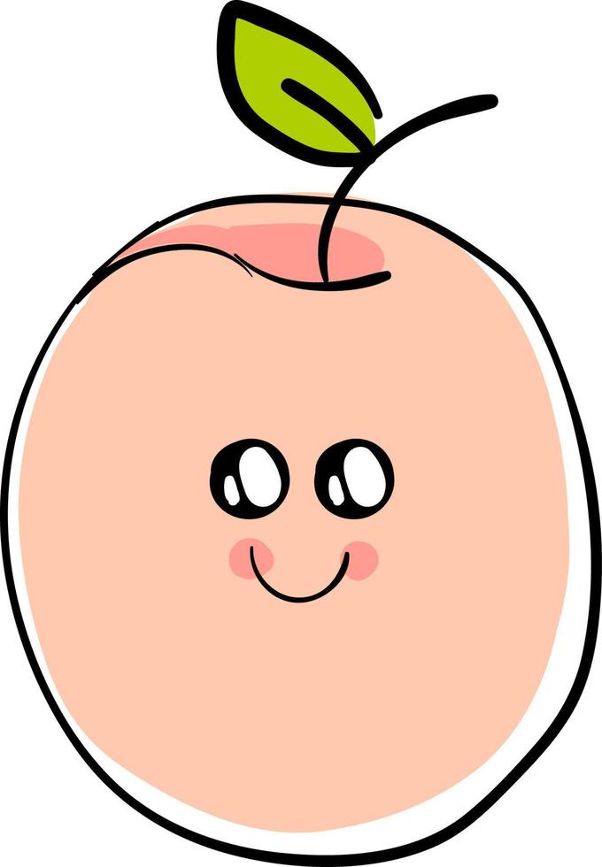 Cute apricot, illustration, vector on white background.