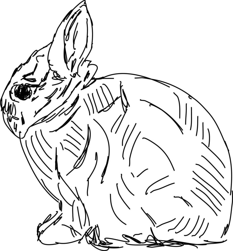 Rabbit drawing, illustration, vector on white background.